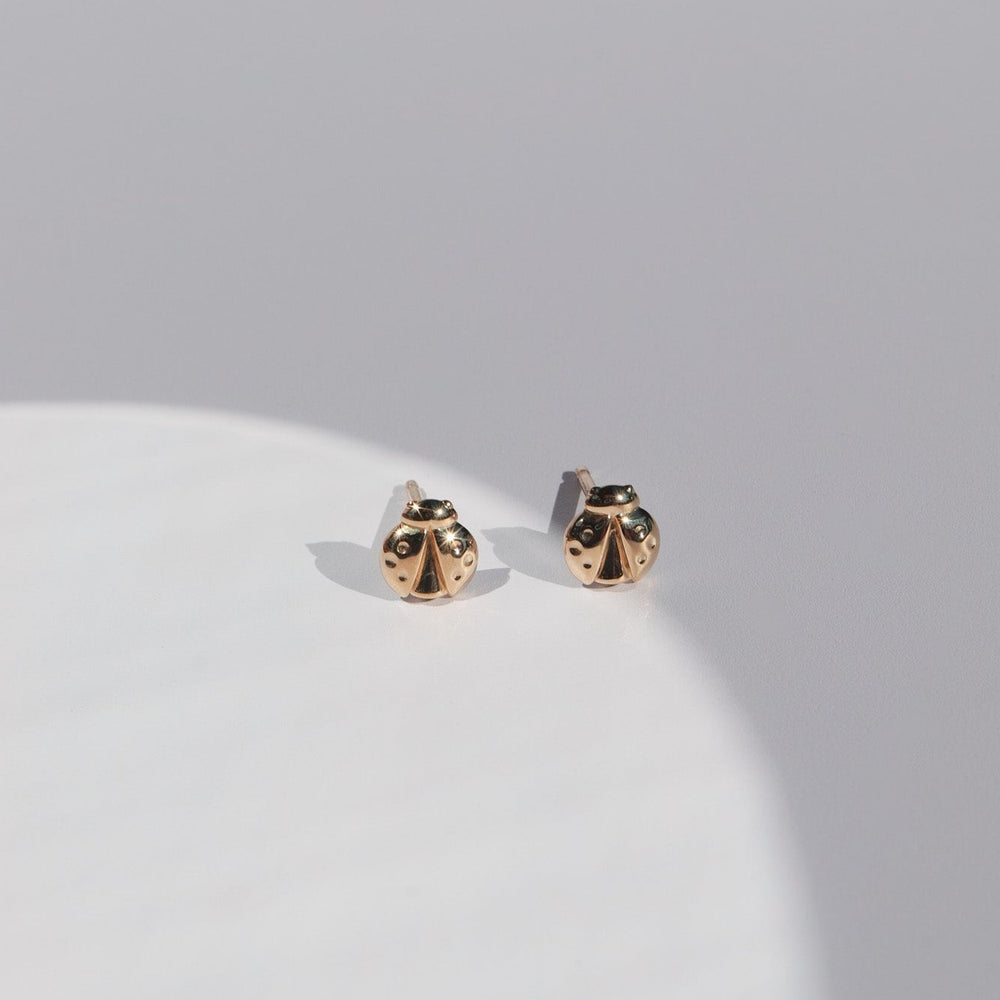 
                      
                        A pair of Pear's Ladybug Studs in a small gold-toned design rests on a light gray surface, partially illuminated by a soft circular patch of sunlight. The earrings feature intricate details, imitating the shape and texture of real ladybug wings.
                      
                    